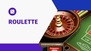 Rules of the roulette game in an online casino